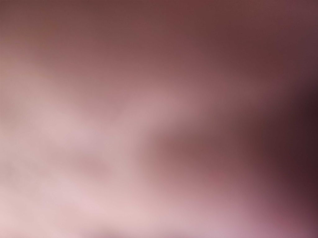 Toyota Tundra 4WD Truck Dbl 5.7L FFV V8 6-Spd AT (Natl) 2011