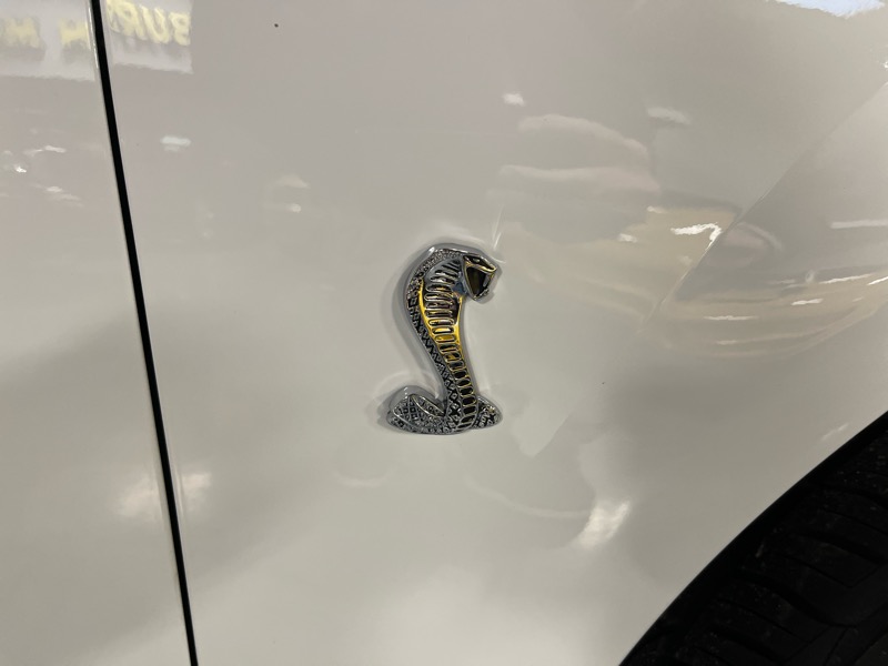 Ford Mustang SVT Cobra Coupe 2003