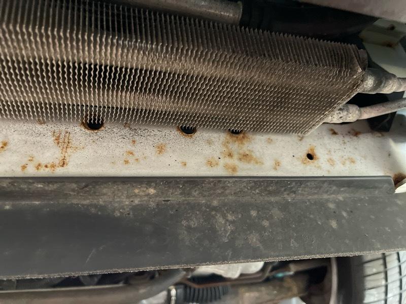 Ford Mustang SVT Cobra Coupe 2003