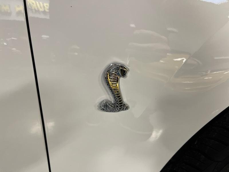 Ford Mustang SVT Cobra Coupe 2003