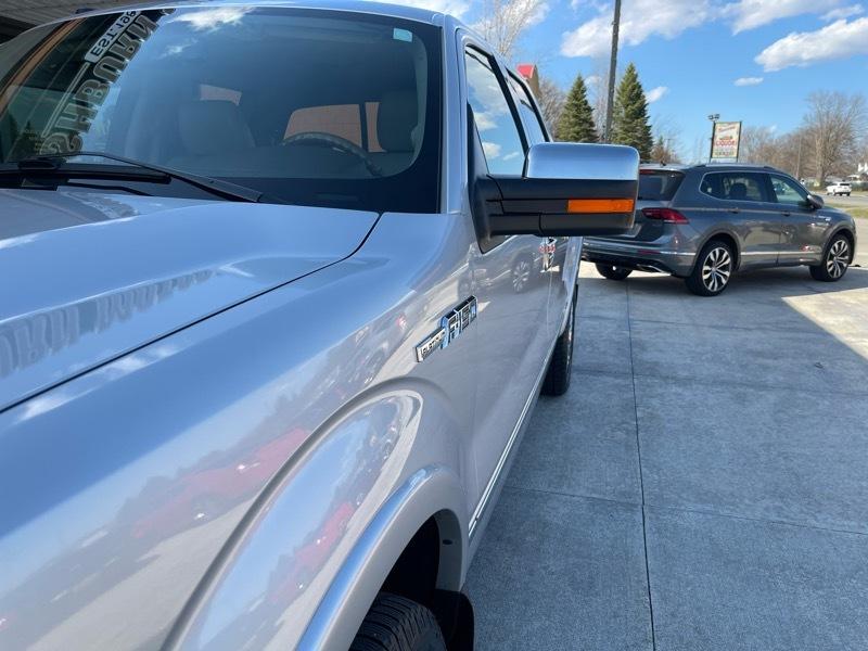 Ford F-150 Platinum 4WD SuperCrew 5.5' Box 2009