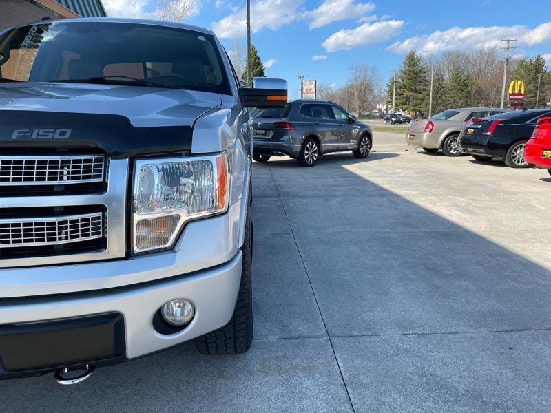 Ford F-150 Platinum 4WD SuperCrew 5.5' Box 2009