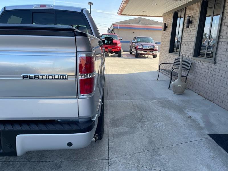 Ford F-150 Platinum 4WD SuperCrew 5.5' Box 2009