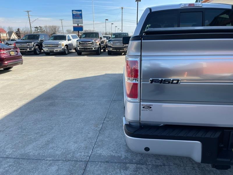 Ford F-150 Platinum 4WD SuperCrew 5.5' Box 2009