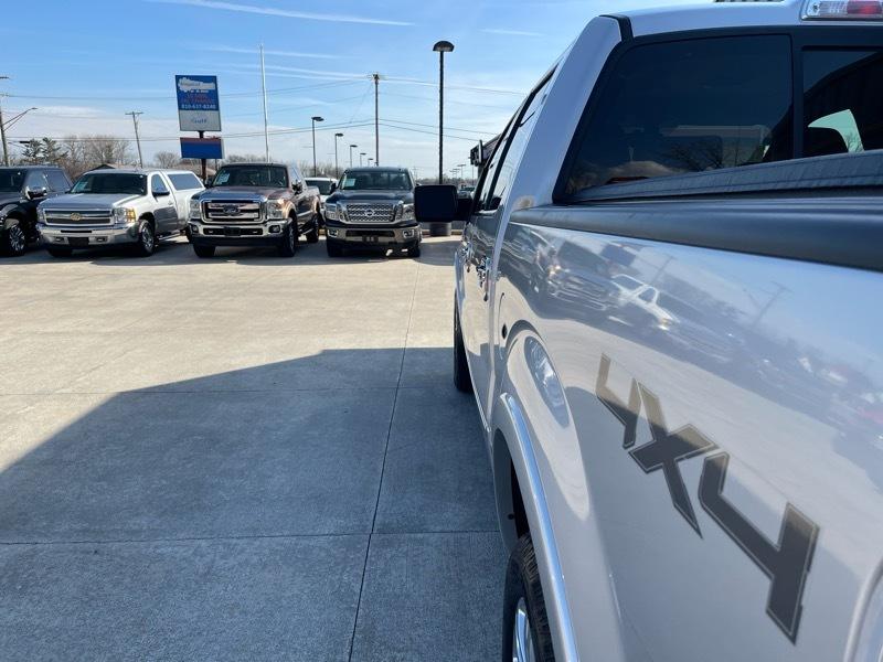 Ford F-150 Platinum 4WD SuperCrew 5.5' Box 2009