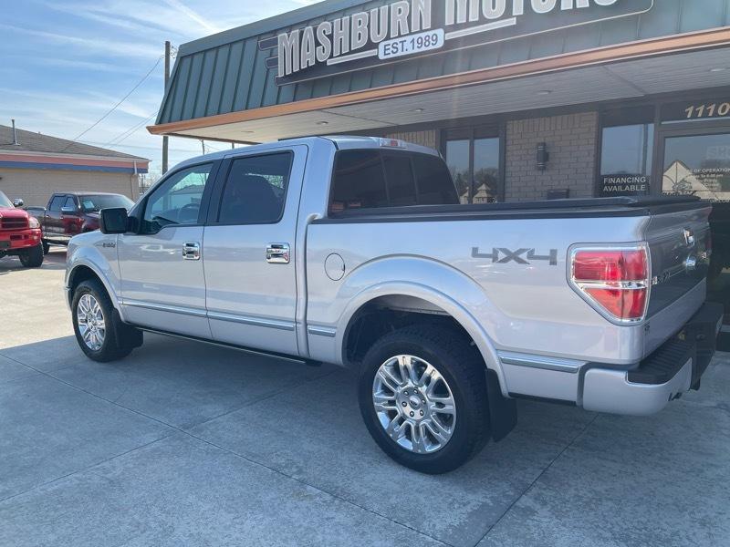 Ford F-150 Platinum 4WD SuperCrew 5.5' Box 2009