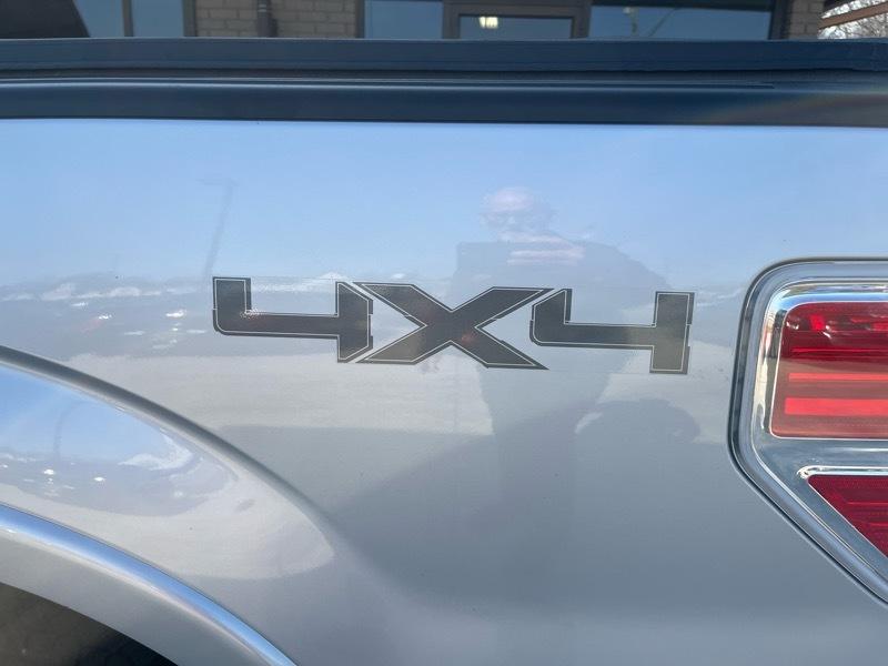 Ford F-150 Platinum 4WD SuperCrew 5.5' Box 2009