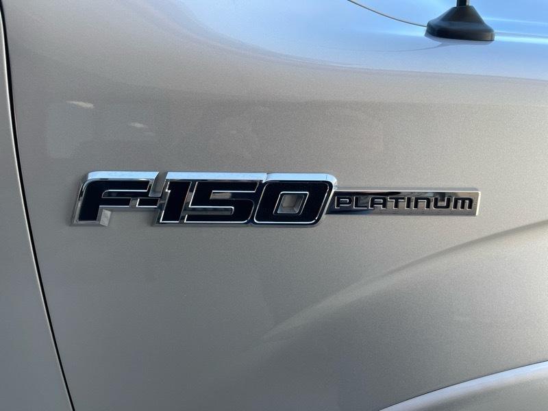 Ford F-150 Platinum 4WD SuperCrew 5.5' Box 2009