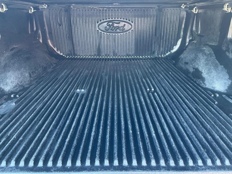 Ford F-150 Platinum 4WD SuperCrew 5.5' Box 2009