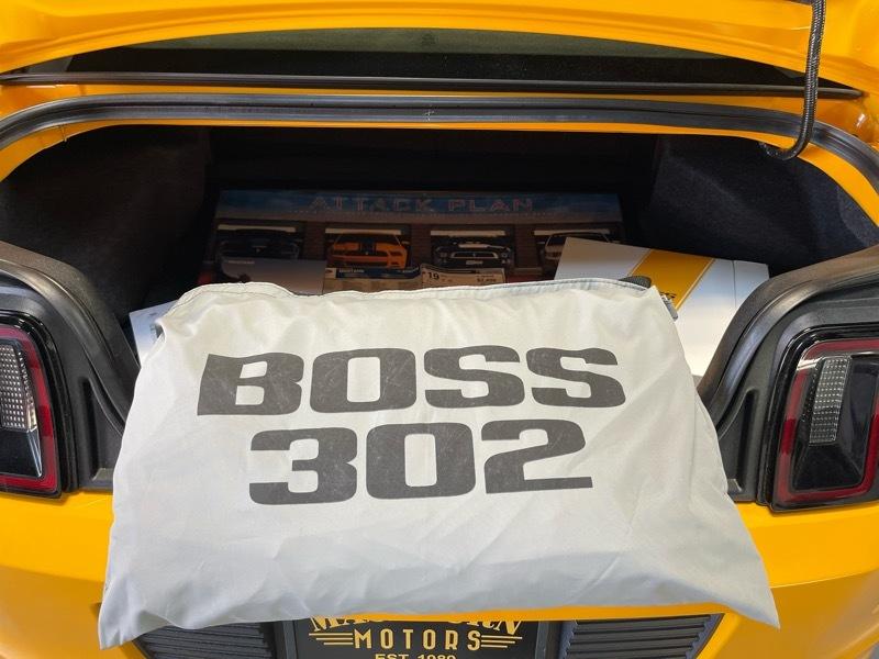 Ford Mustang Boss 302 2013