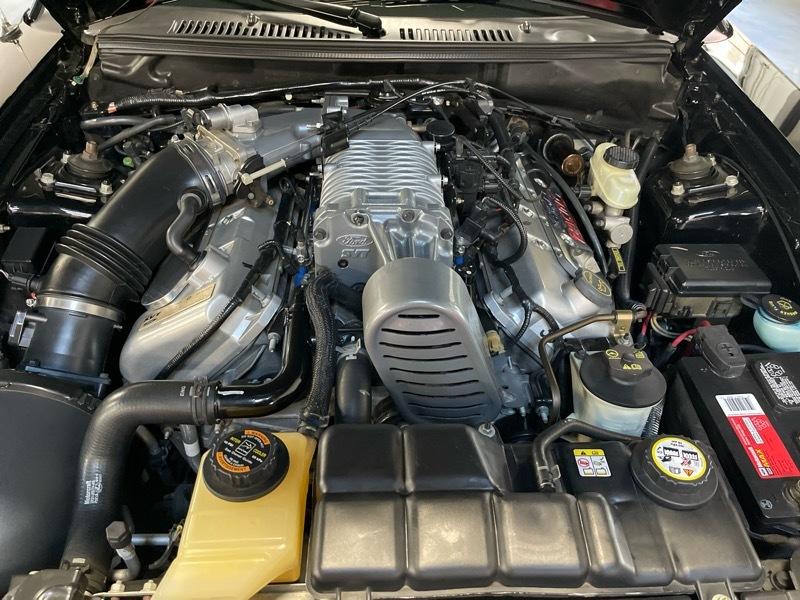 Ford Mustang SVT Cobra Coupe 2004