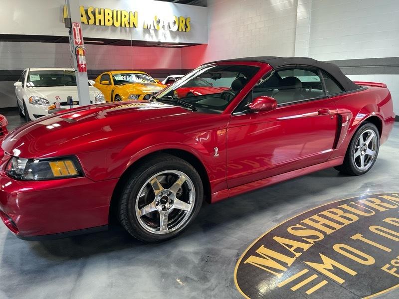 Ford Mustang SVT Cobra Convertible 2003