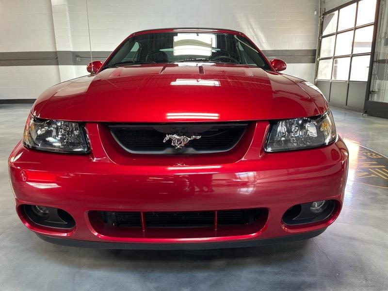 Ford Mustang SVT Cobra Convertible 2003