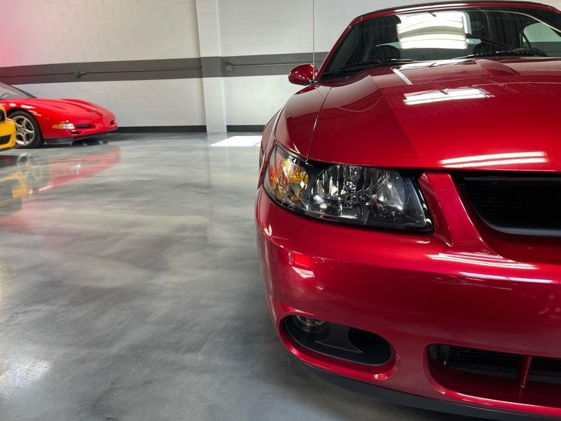 Ford Mustang SVT Cobra Convertible 2003