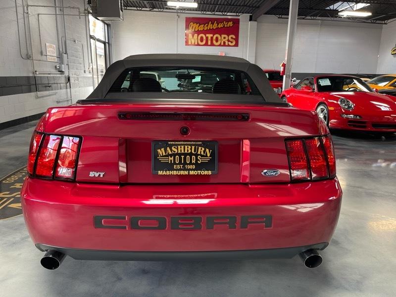Ford Mustang SVT Cobra Convertible 2003
