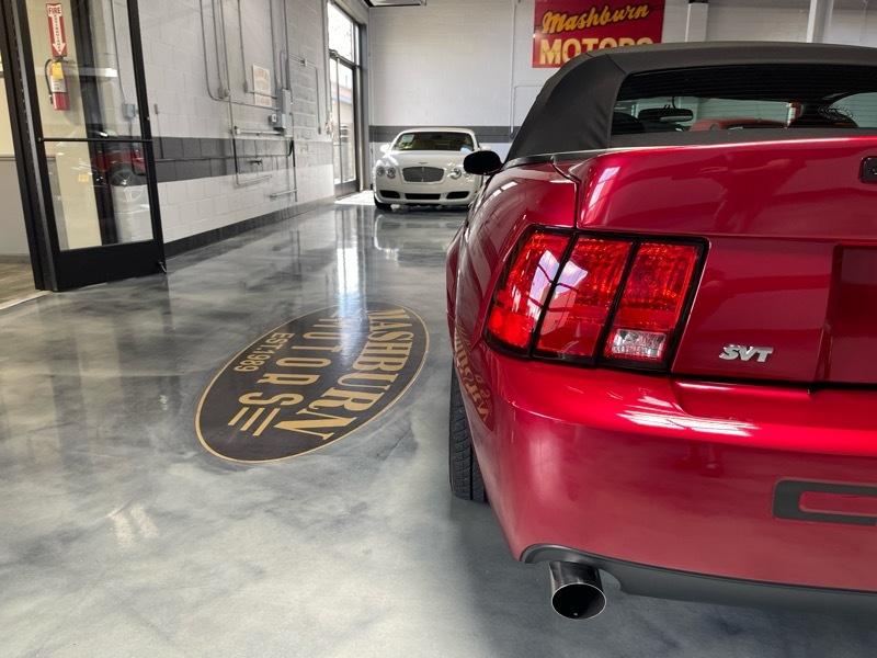 Ford Mustang SVT Cobra Convertible 2003