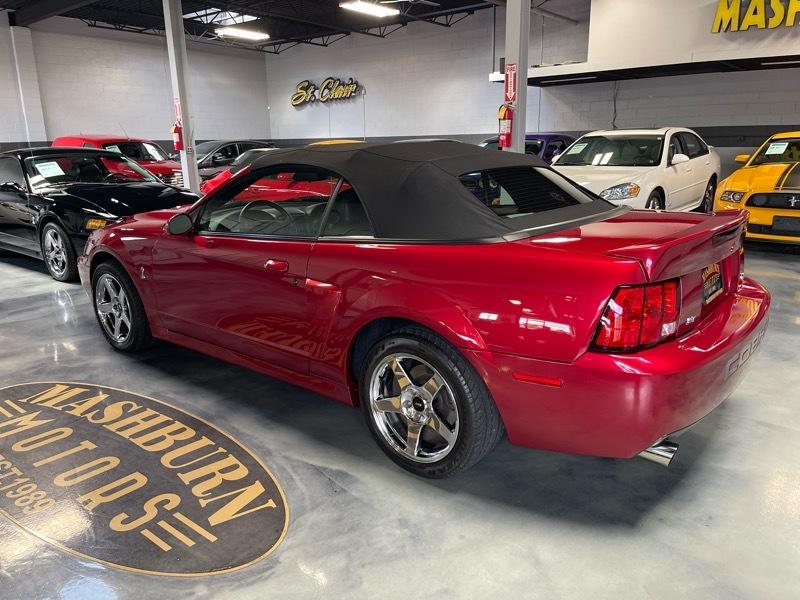 Ford Mustang SVT Cobra Convertible 2003