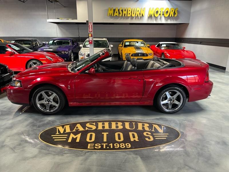 Ford Mustang SVT Cobra Convertible 2003