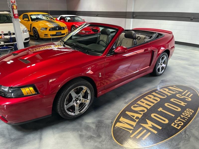 Ford Mustang SVT Cobra Convertible 2003