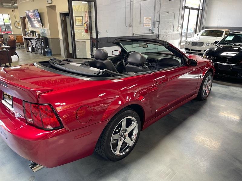 Ford Mustang SVT Cobra Convertible 2003