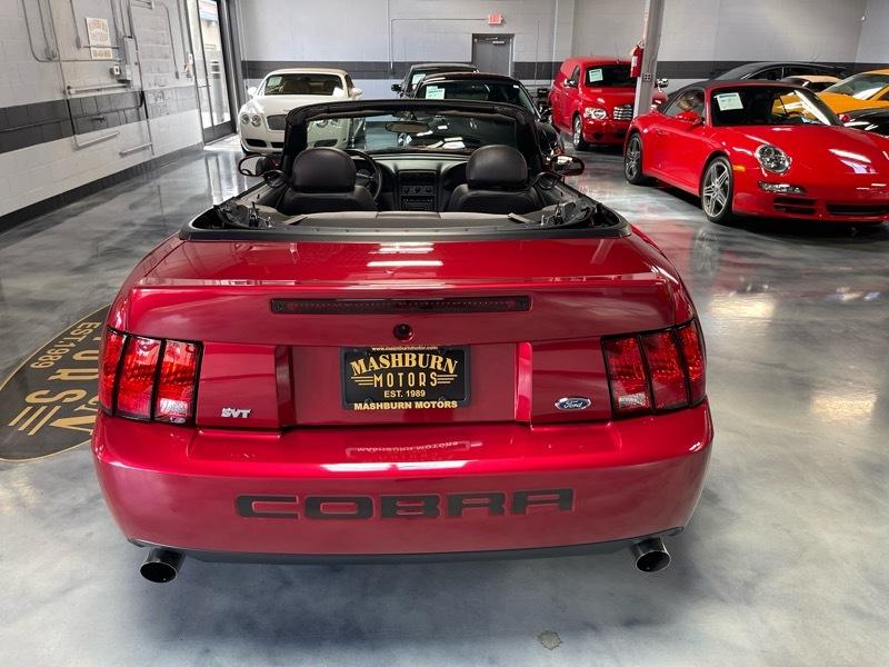 Ford Mustang SVT Cobra Convertible 2003