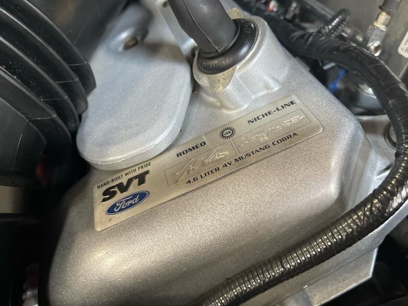 Ford Mustang SVT Cobra Convertible 2003