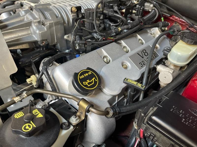 Ford Mustang SVT Cobra Convertible 2003
