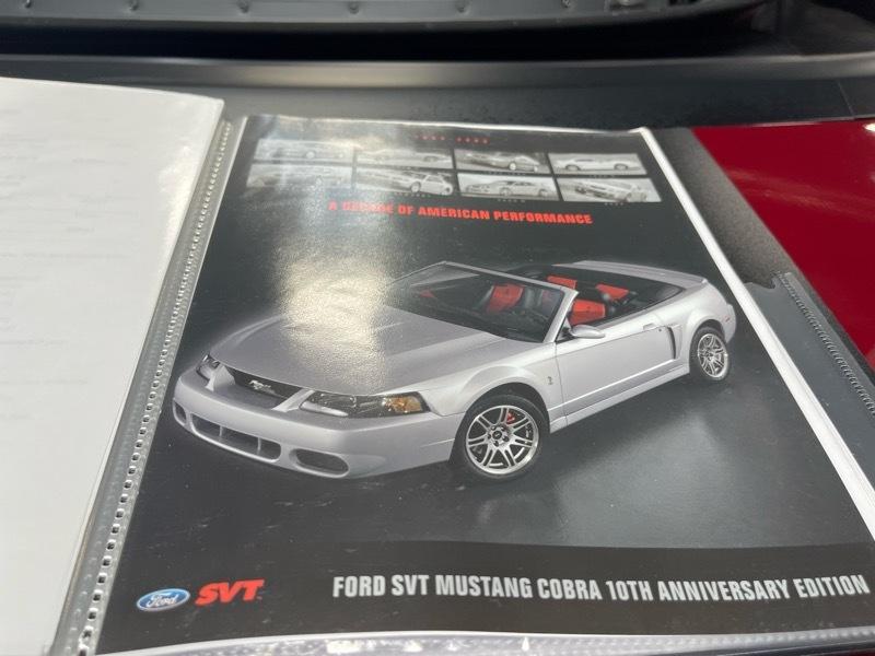 Ford Mustang SVT Cobra Convertible 2003