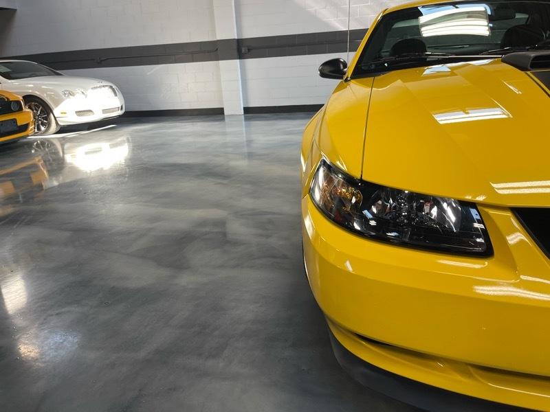 Ford Mustang Mach 1 2004
