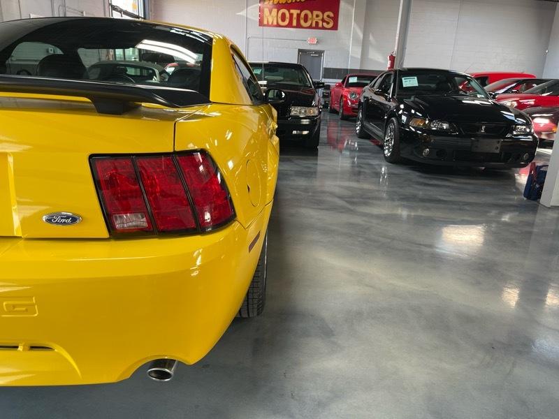 Ford Mustang Mach 1 2004
