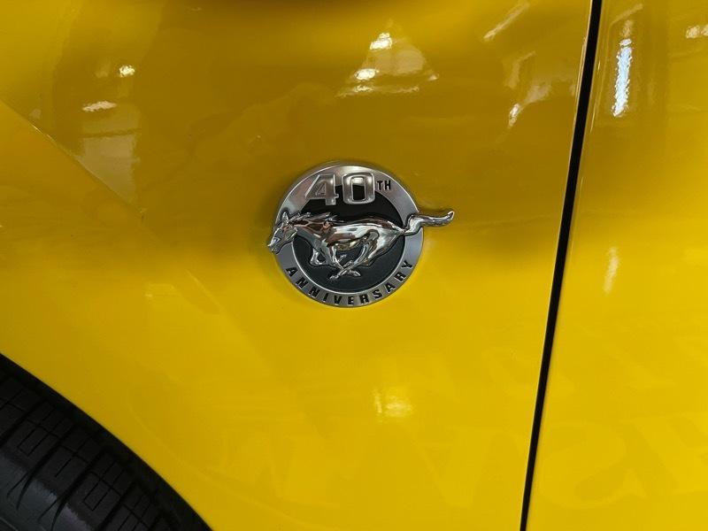 Ford Mustang Mach 1 2004