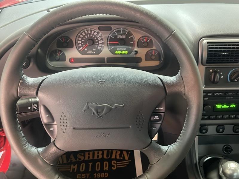 Ford Mustang Mach 1 2004