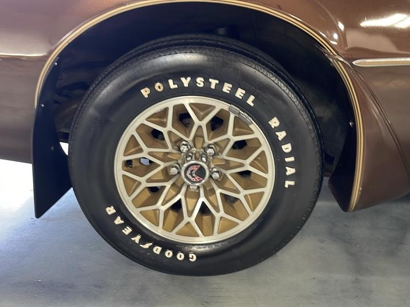 Pontiac Trans Am Coupe 1979