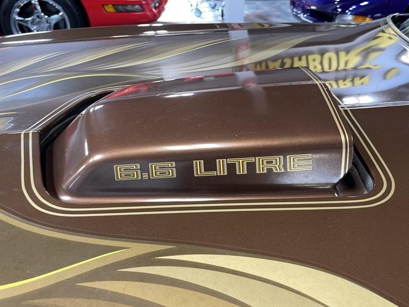 Pontiac Trans Am Coupe 1979