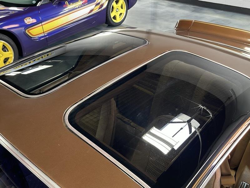 Pontiac Trans Am Coupe 1979