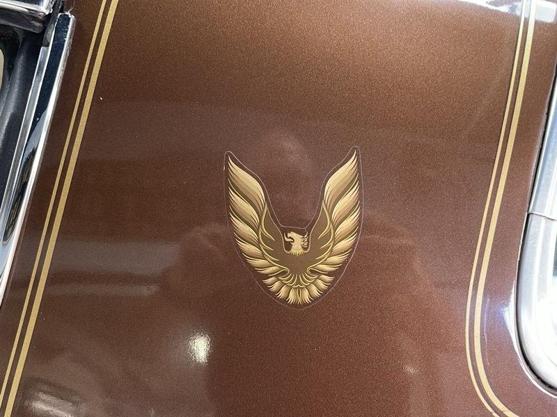 Pontiac Trans Am Coupe 1979
