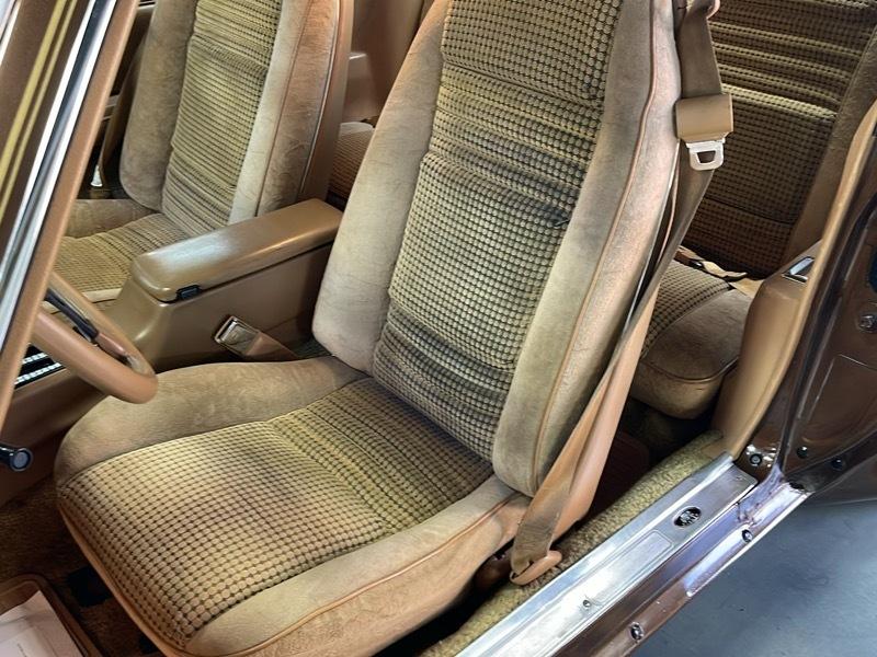 Pontiac Trans Am Coupe 1979