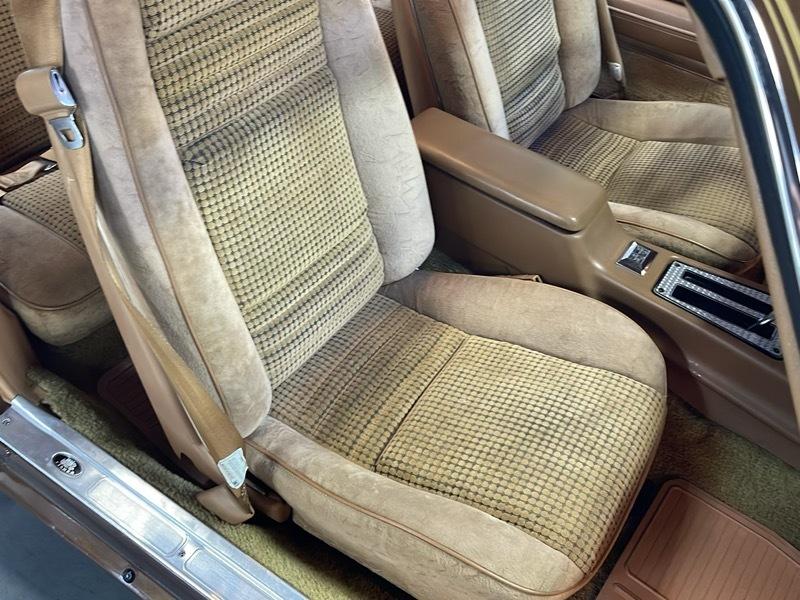 Pontiac Trans Am Coupe 1979