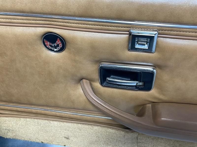 Pontiac Trans Am Coupe 1979