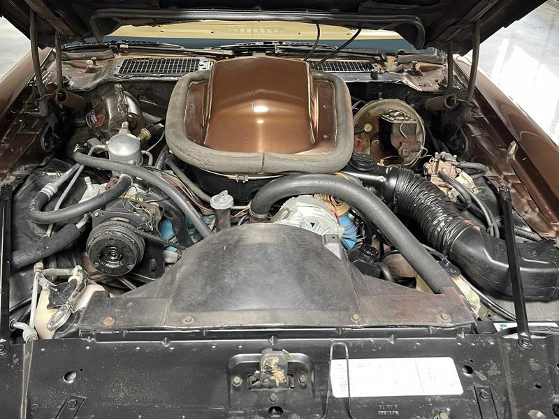 Pontiac Trans Am Coupe 1979