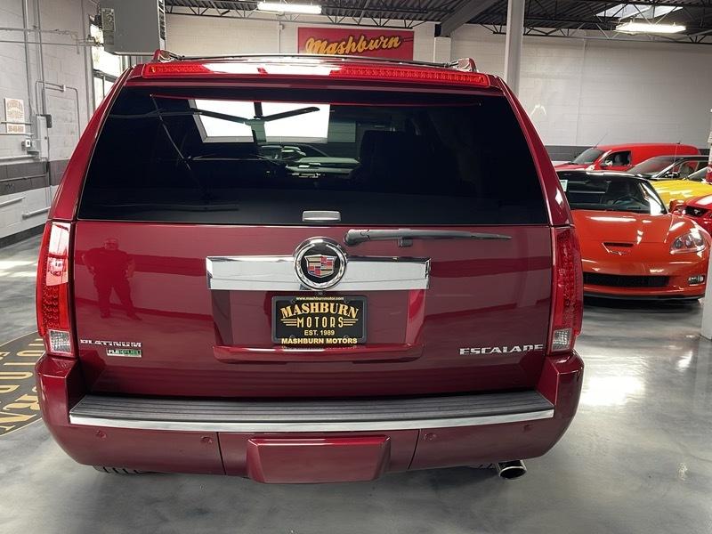 Cadillac Escalade AWD Platinum Edition 2009