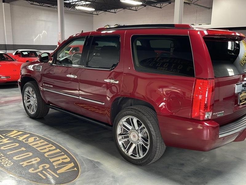 Cadillac Escalade AWD Platinum Edition 2009