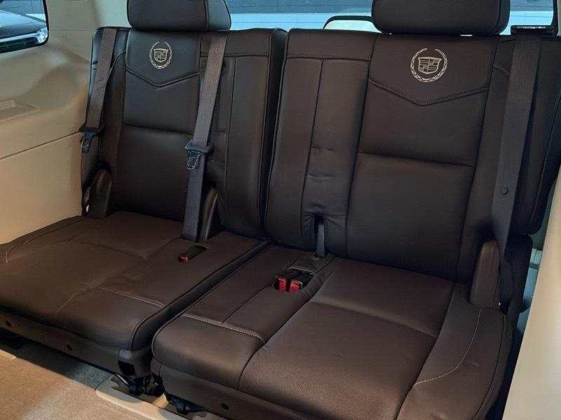 Cadillac Escalade AWD Platinum Edition 2009