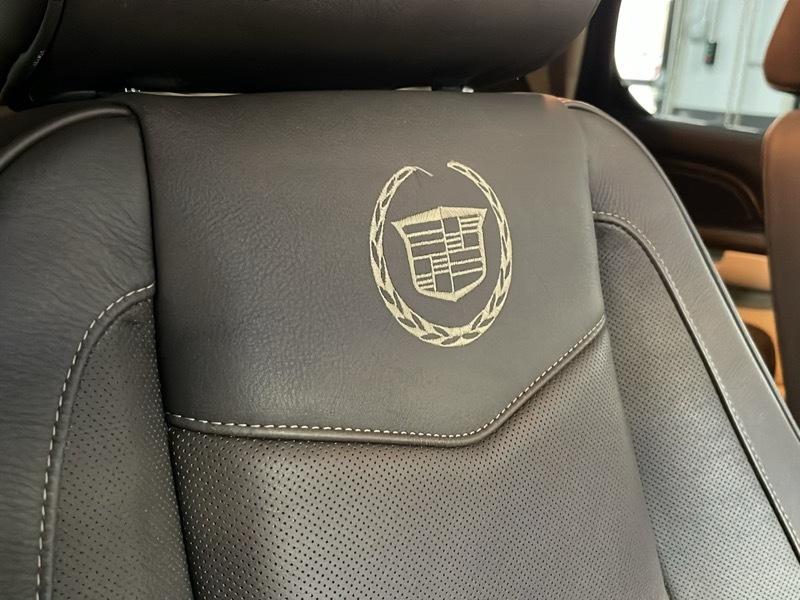 Cadillac Escalade AWD Platinum Edition 2009