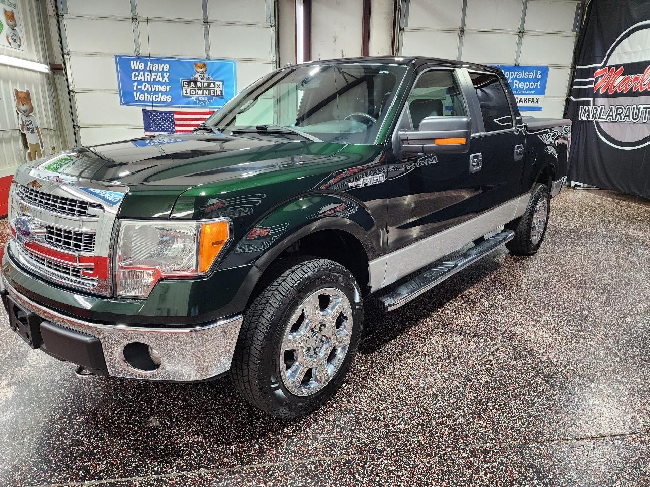 Ford F-150 4WD SuperCrew 145" Platinum 2013