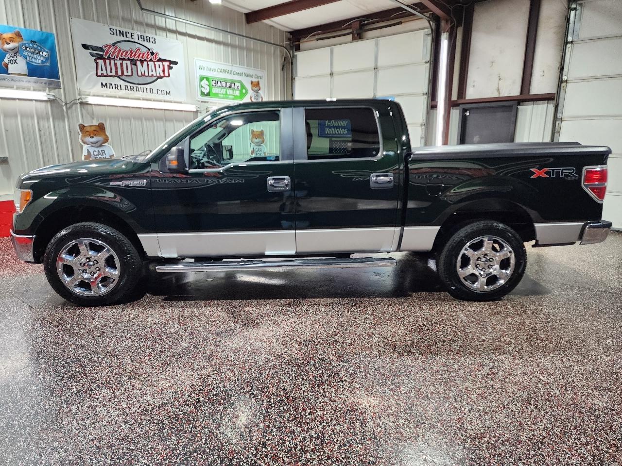 Ford F-150 4WD SuperCrew 145" Platinum 2013