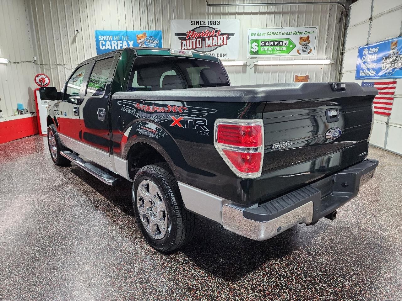 Ford F-150 4WD SuperCrew 145" Platinum 2013