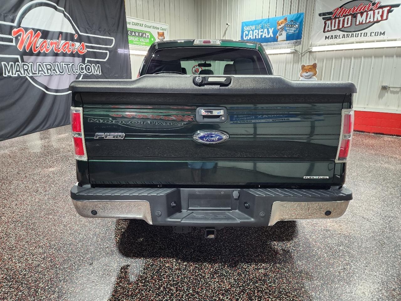 Ford F-150 4WD SuperCrew 145" Platinum 2013