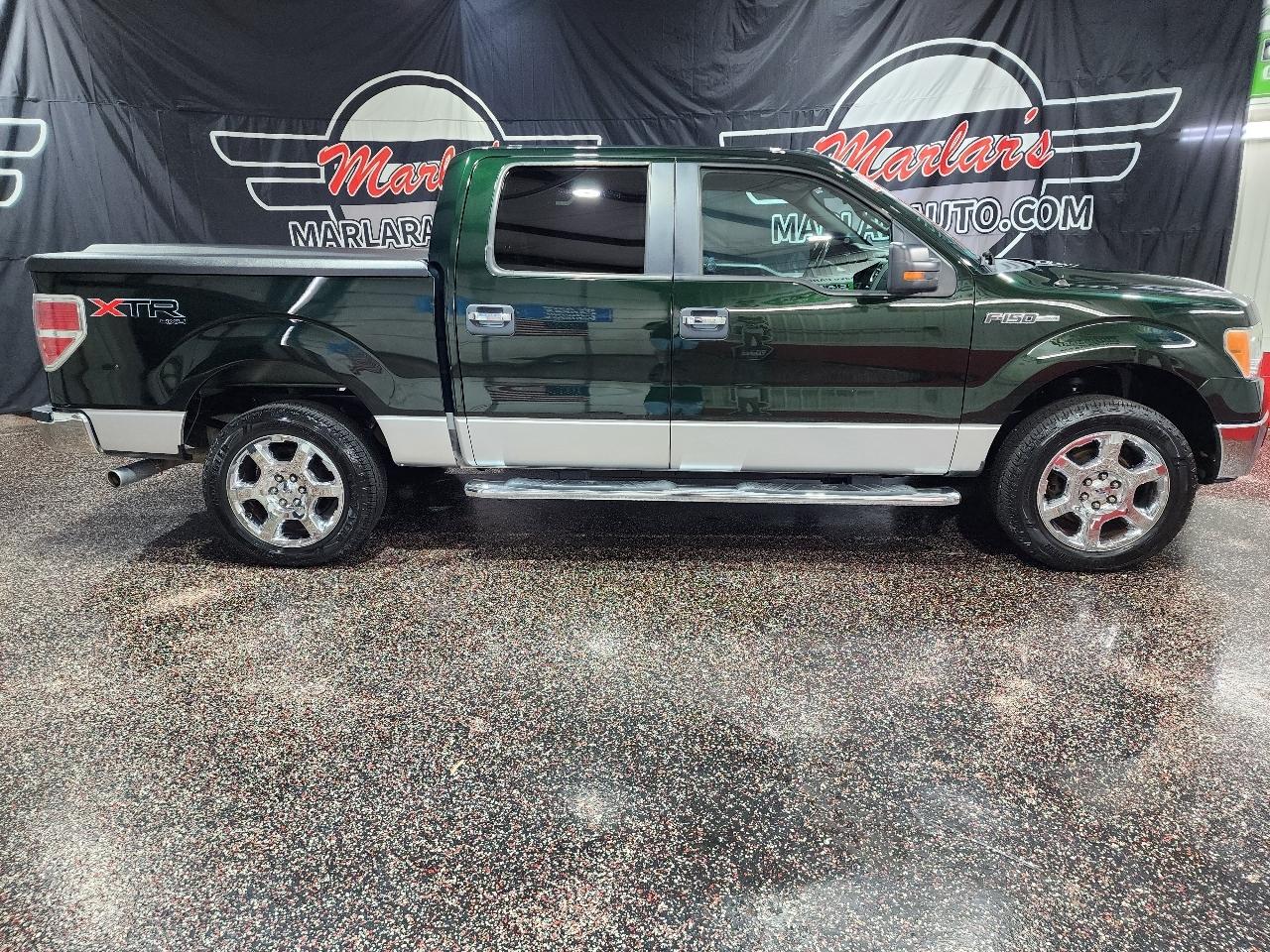 Ford F-150 4WD SuperCrew 145" Platinum 2013