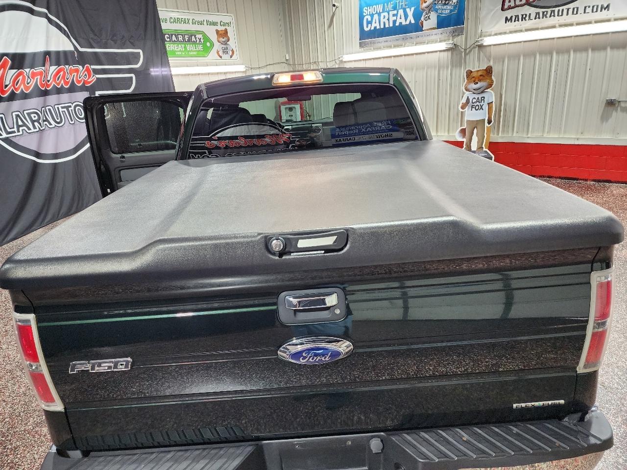 Ford F-150 4WD SuperCrew 145" Platinum 2013